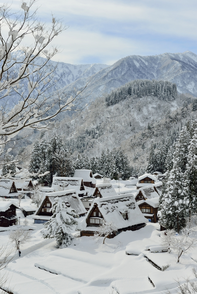 The Historic Villages of Gokayama & Shirakawa-go are UNESCO World Heritage Sites that run across the borders of Toyama and Gifu prefectures, situated along the Shogawa river