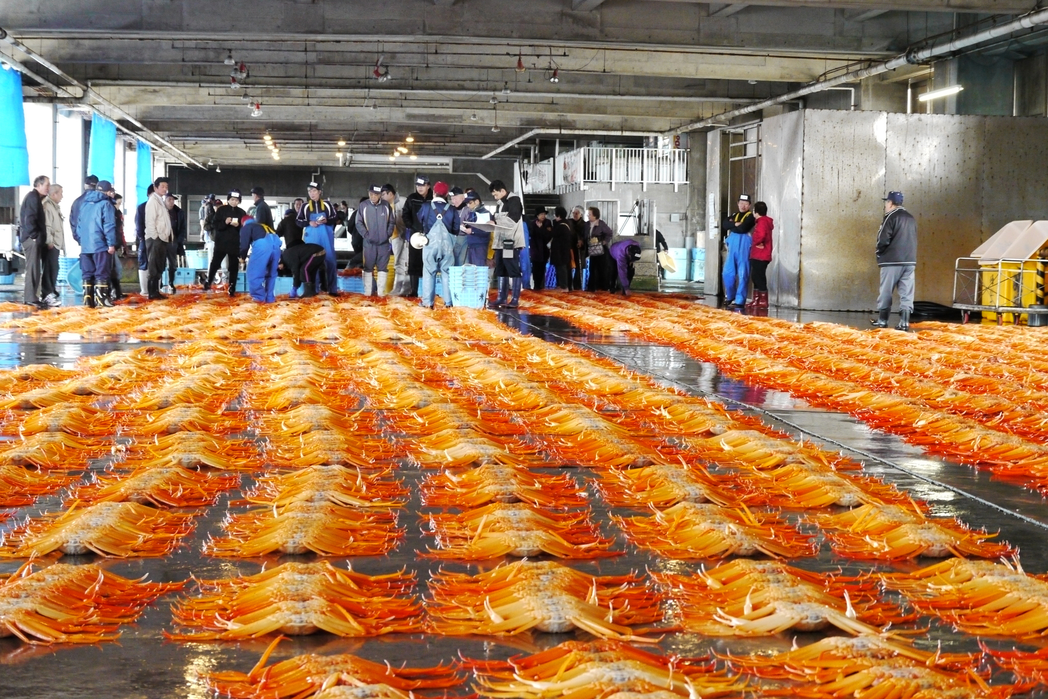 Shinminato Kittokito Ichiba market, Takaoka, Toyama Bay