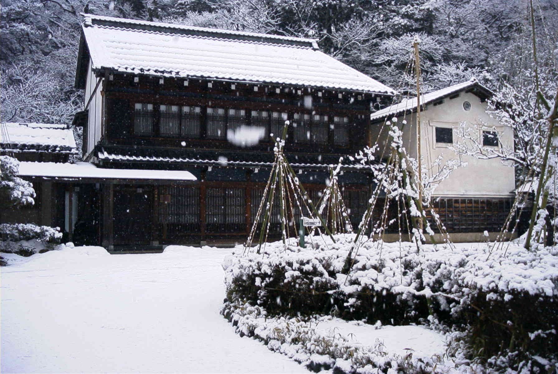 Nakamura Shuzou, Kanazawa, Ishikawa